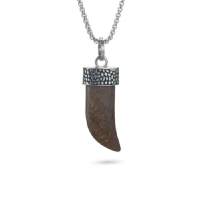 Antique Stainless Steel Bronzite Shark Tooth Pendant