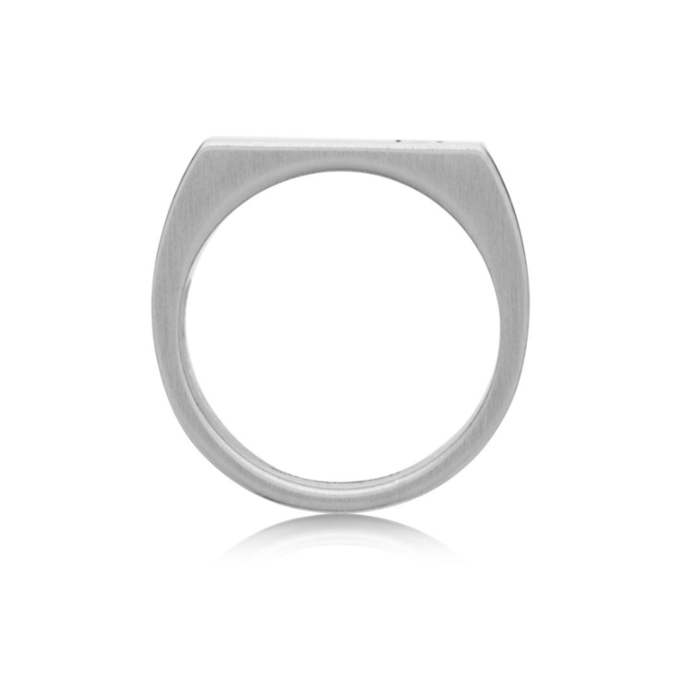 Satin Finish 316L Stainless Steel Dress Ring