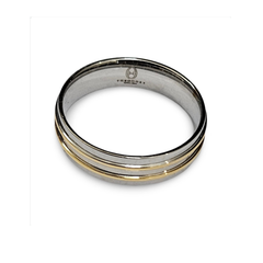 Elegant Stainless Steel &amp; Gold-Plated Satin Finish Ring